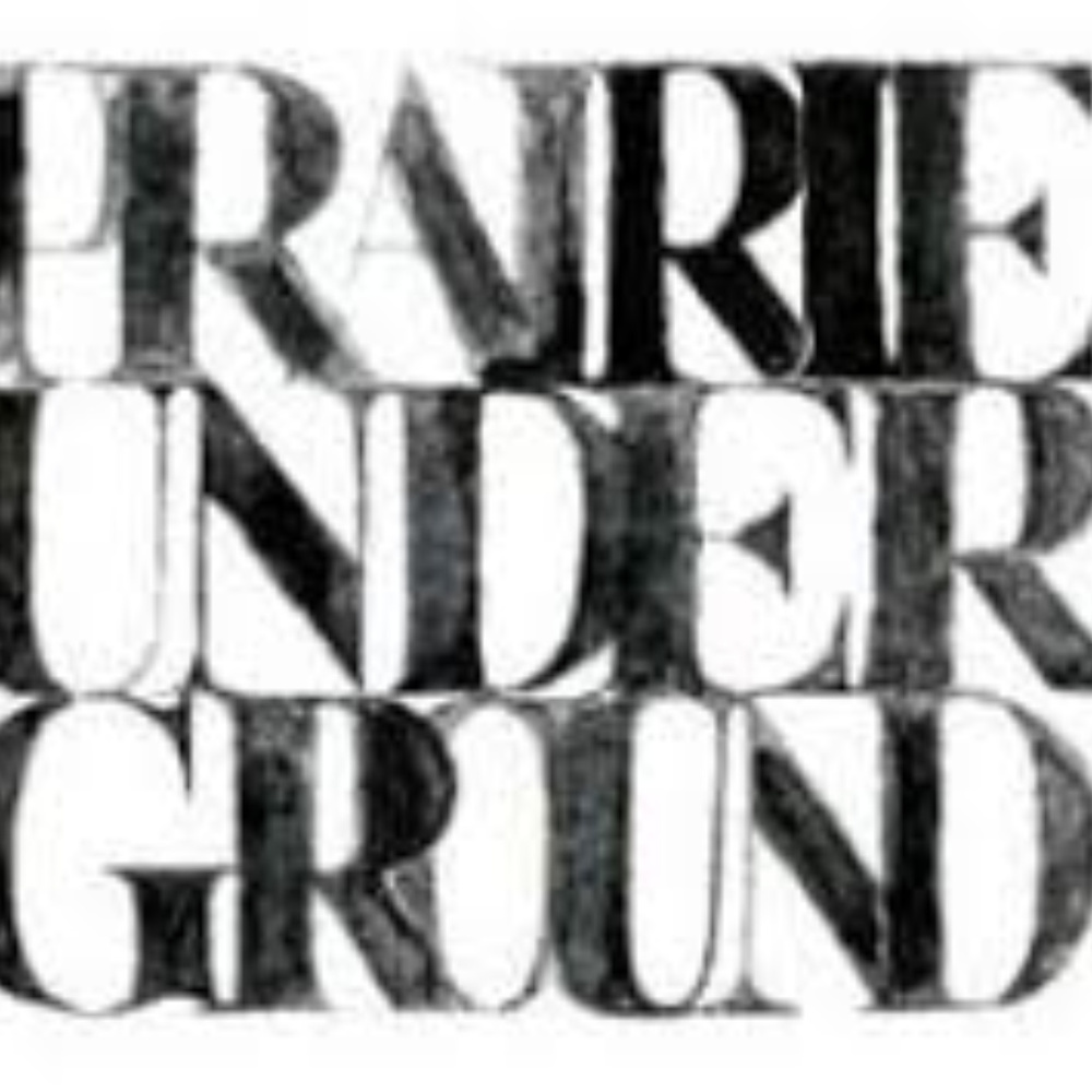 PRAIRIE UNDERGROUND medusa fringe dress